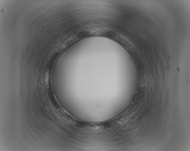 X0000083610646200703051544