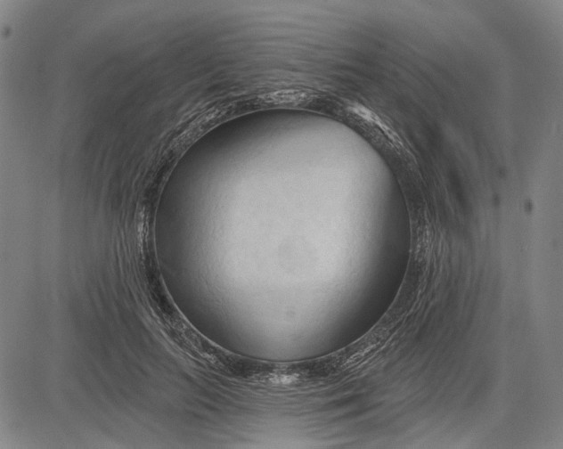 X0000083610647200703051544