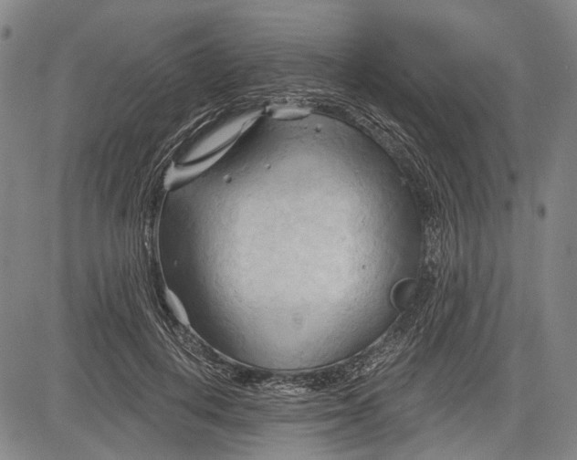 X0000083610648200703051544