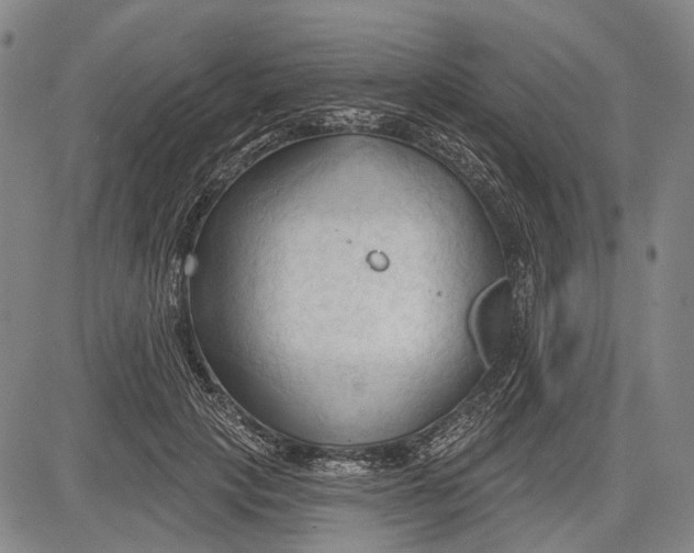 X0000083610649200703051544