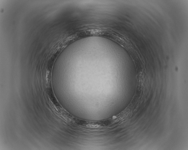 X0000083610650200703051544