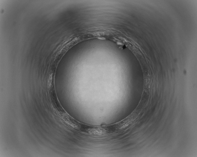 X0000083610652200703051544