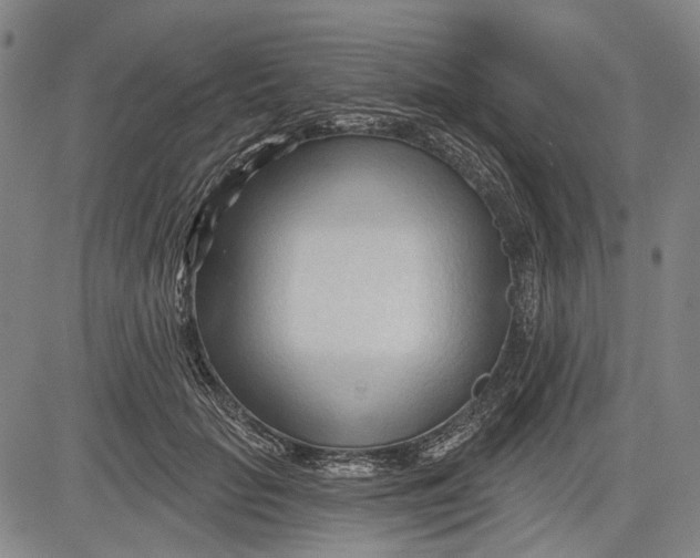 X0000083610653200703051544