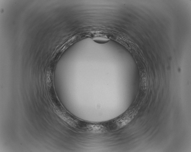 X0000083610654200703051544