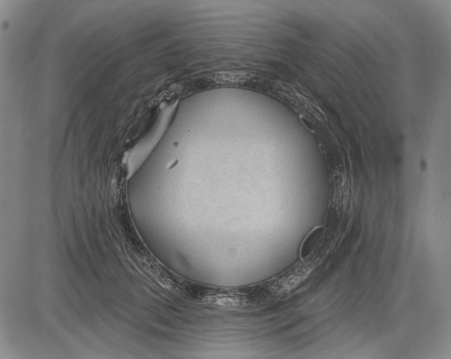 X0000083610655200703051544