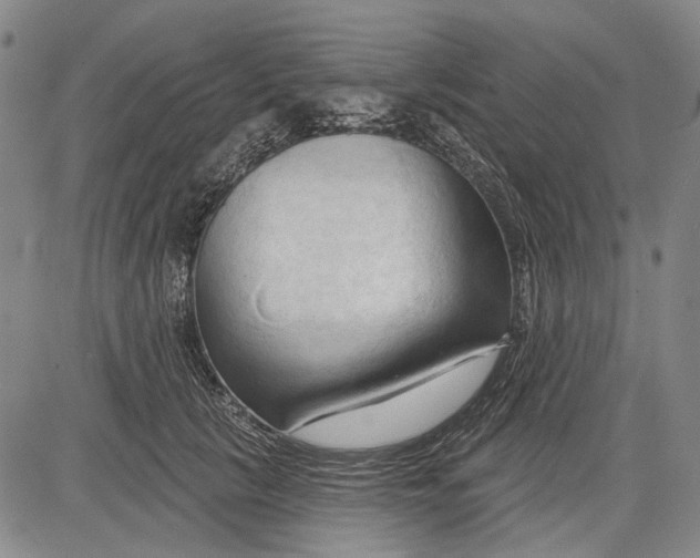 X0000083610657200703051544