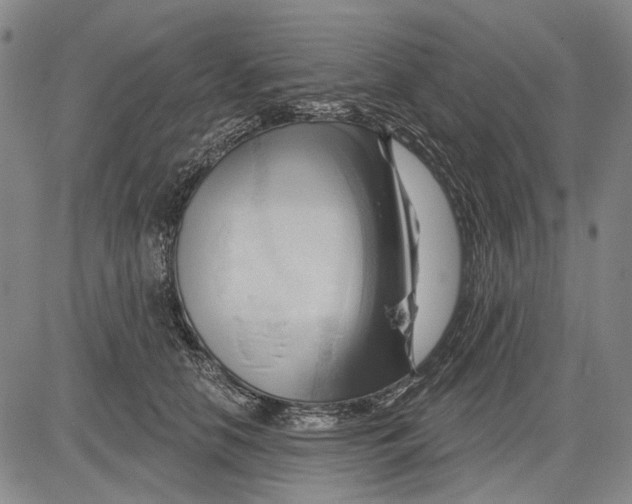 X0000083610658200703051545