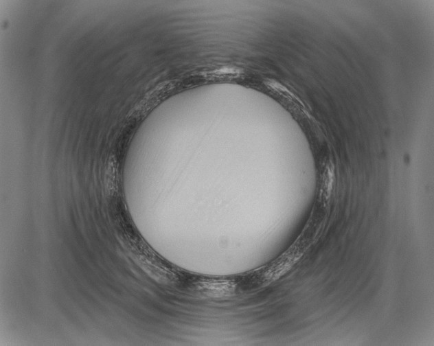 X0000083610659200703051545