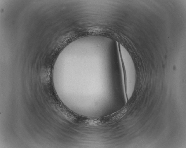 X0000083610660200703051545