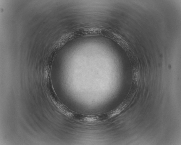 X0000083610662200703051545