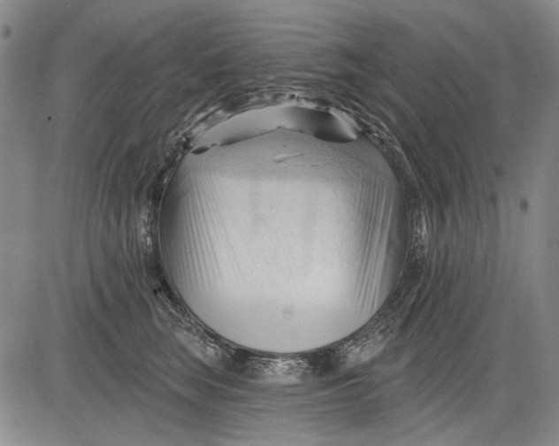 X0000083610663200703051545