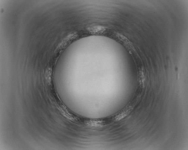 X0000083610664200703051545