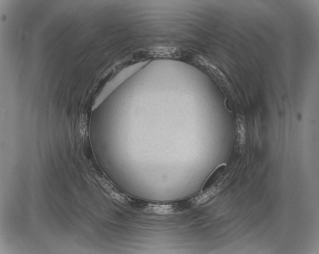 X0000083610665200703051545