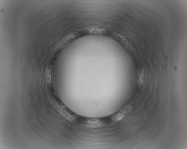 X0000083610666200703051545