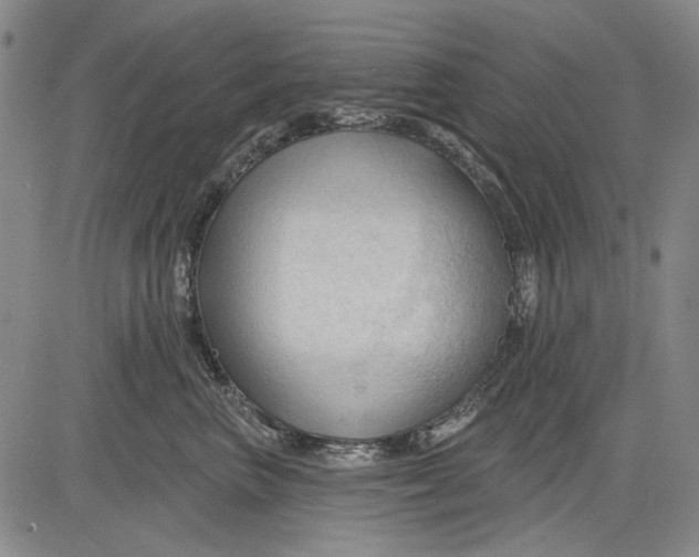 X0000083610667200703051545