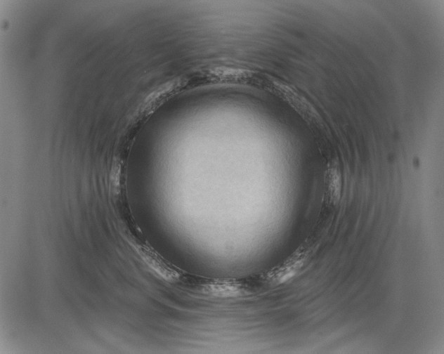 X0000083610668200703051545