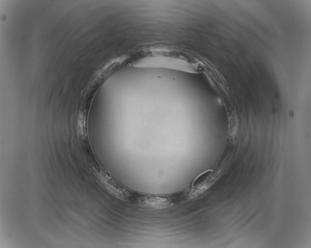 X0000083610669200703051545