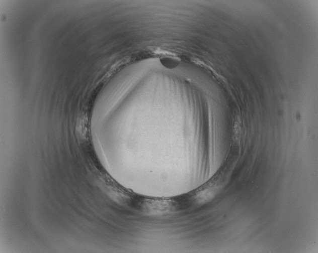 X0000083610671200703051545