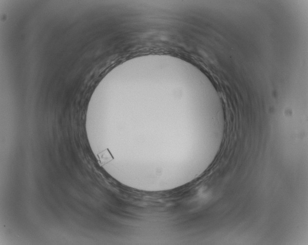 X0000083610672200703051545