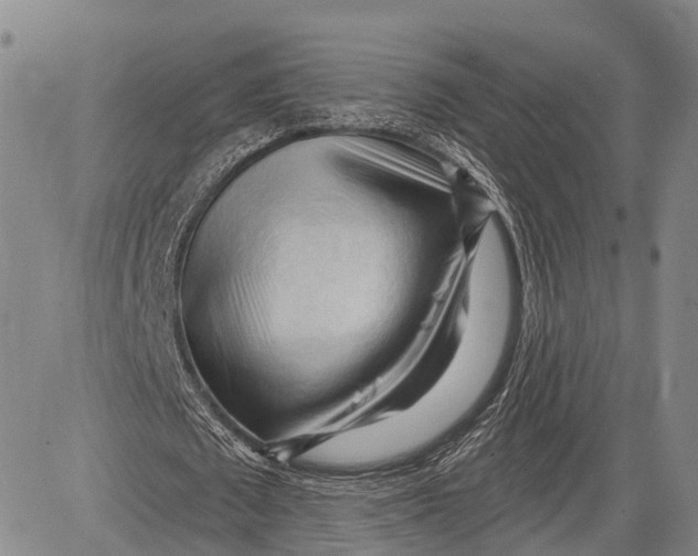 X0000083610673200703051544