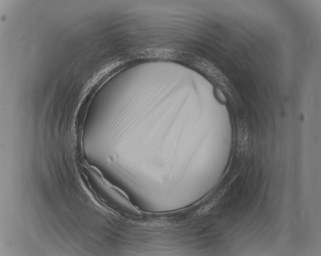 X0000083610674200703051544