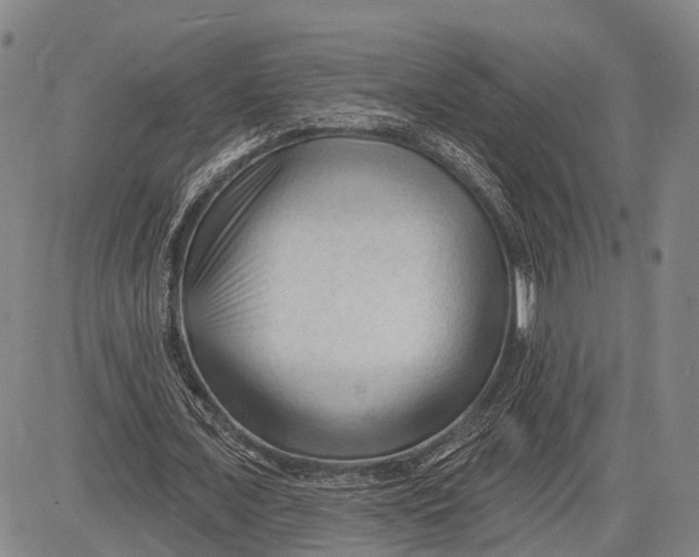 X0000083610675200703051544