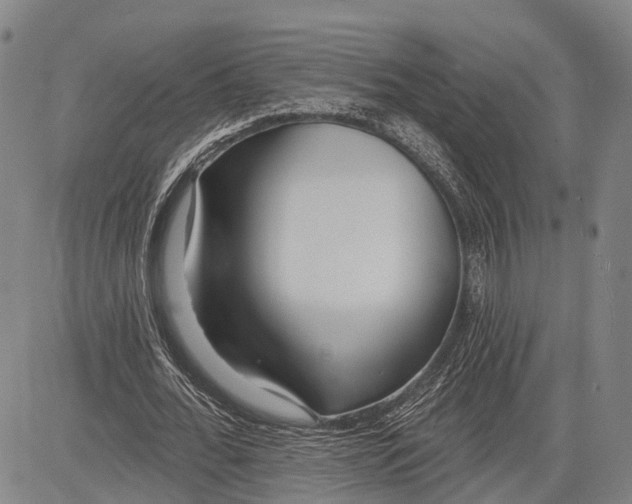 X0000083610676200703051544