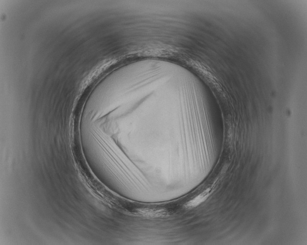 X0000083610678200703051544