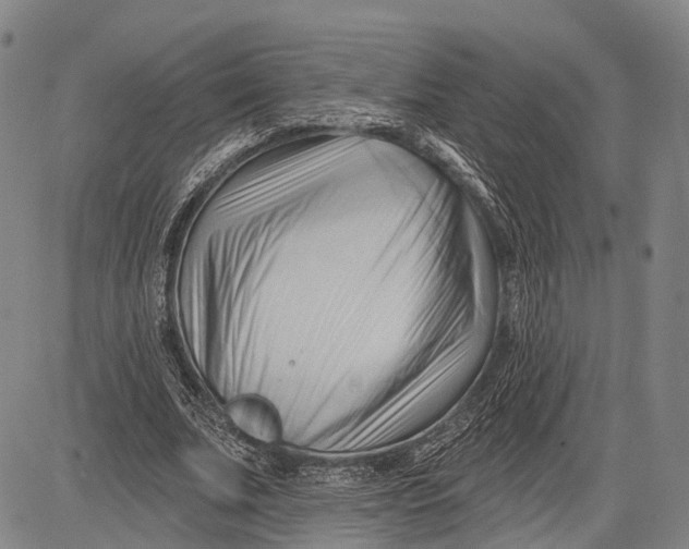 X0000083610679200703051544