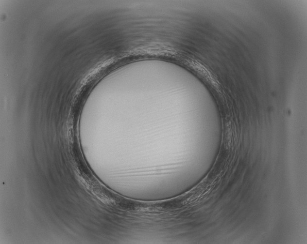 X0000083610680200703051544