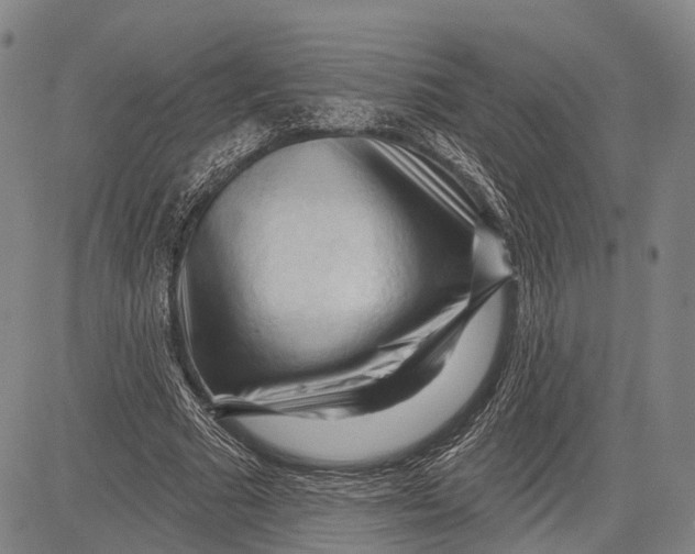 X0000083610681200703051544