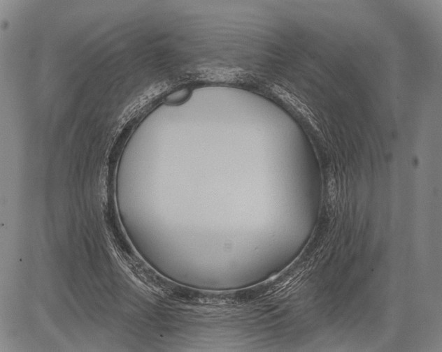 X0000083610682200703051544