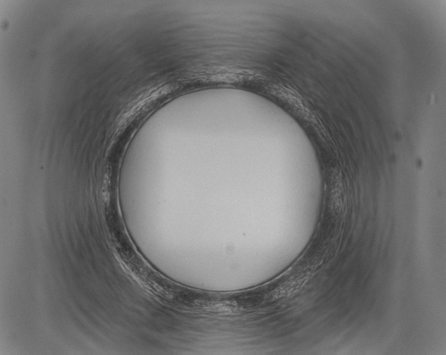 X0000083610683200703051544