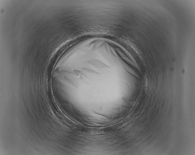 X0000083610684200703051544