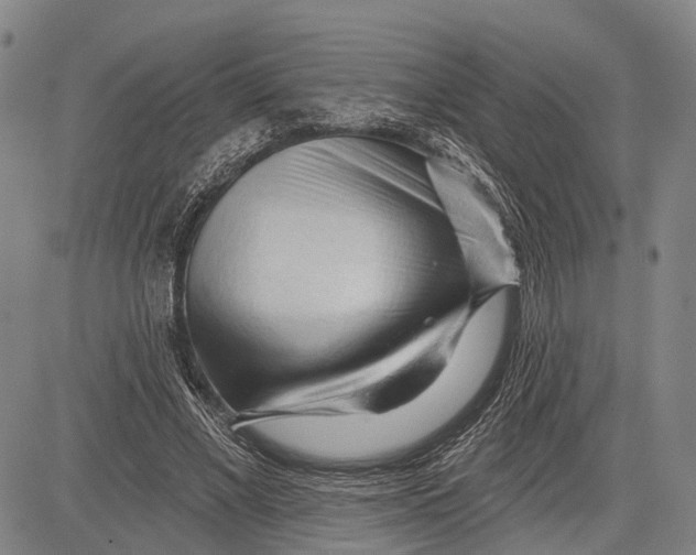 X0000083610685200703051544