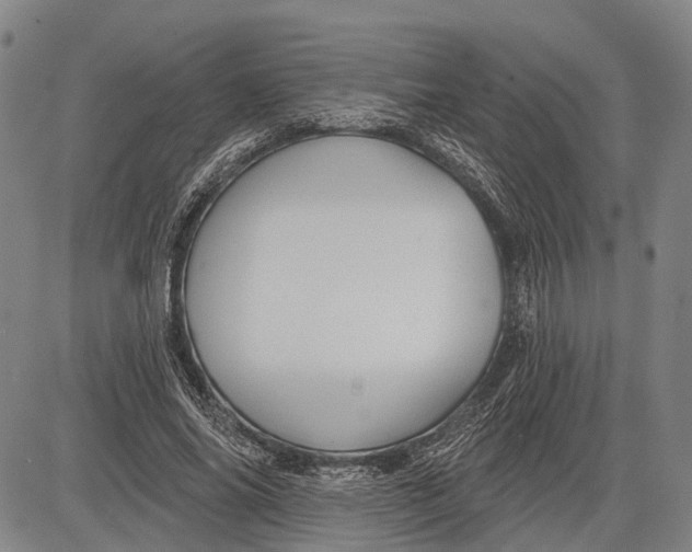 X0000083610686200703051544