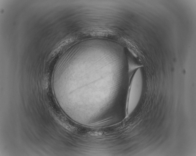 X0000083610687200703051544