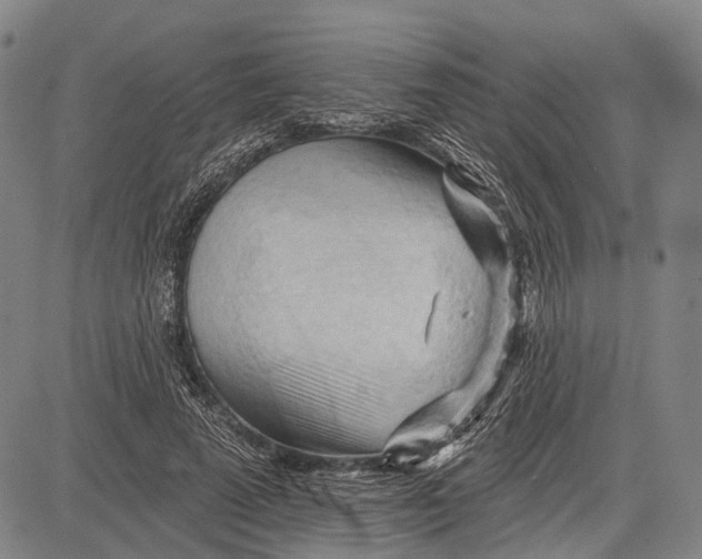 X0000083610689200703051544