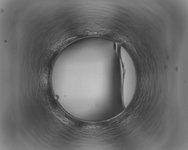 X0000083610691200703051544