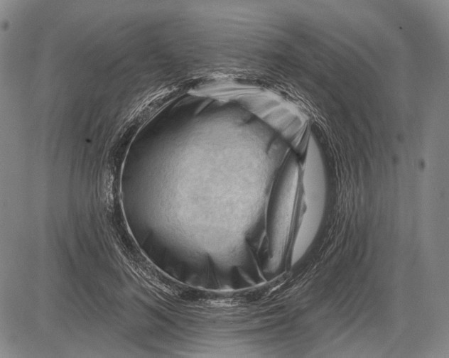 X0000083610692200703051544