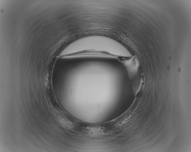 X0000083610693200703051544