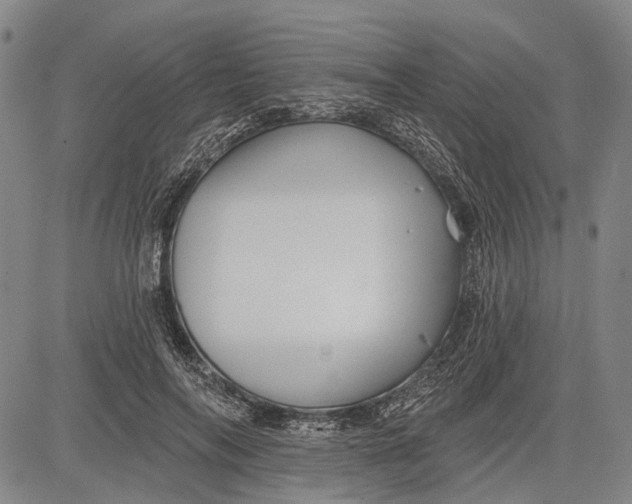 X0000083610694200703051544