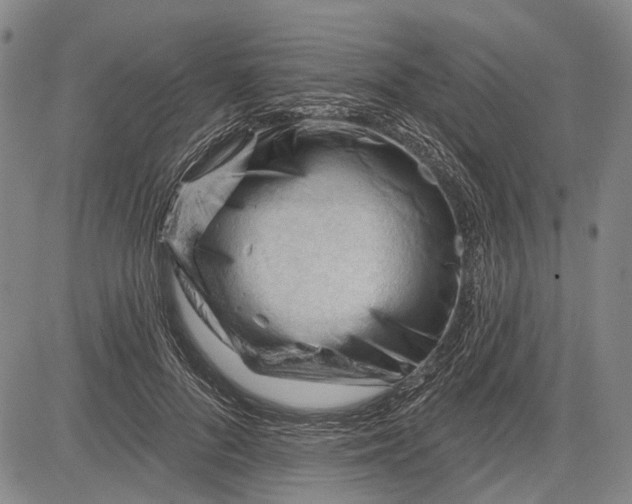 X0000083610696200703051544