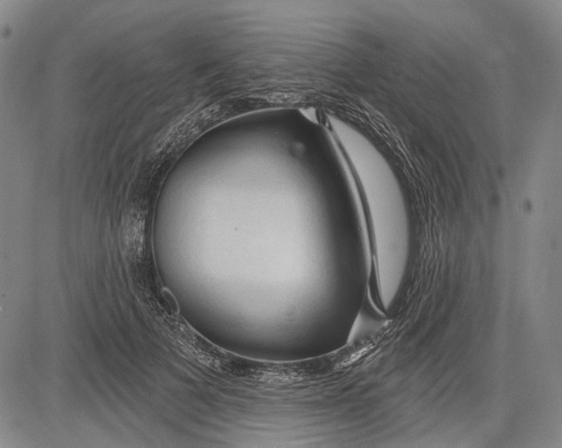 X0000083610697200703051544