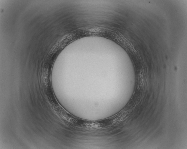 X0000083610698200703051544