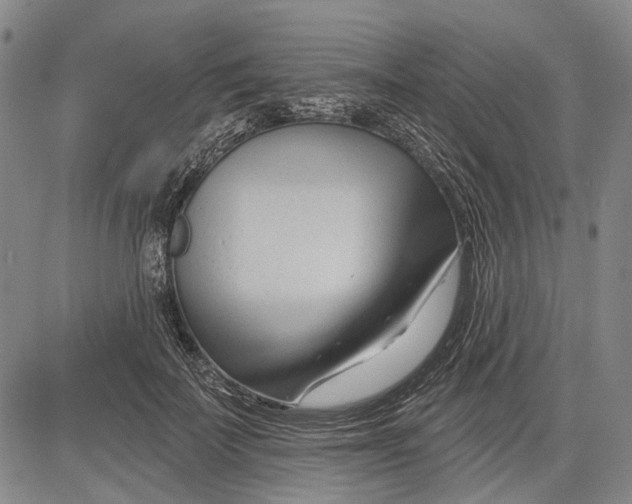 X0000083610699200703051544