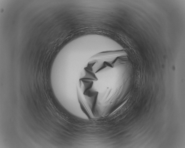 X0000083610700200703051544