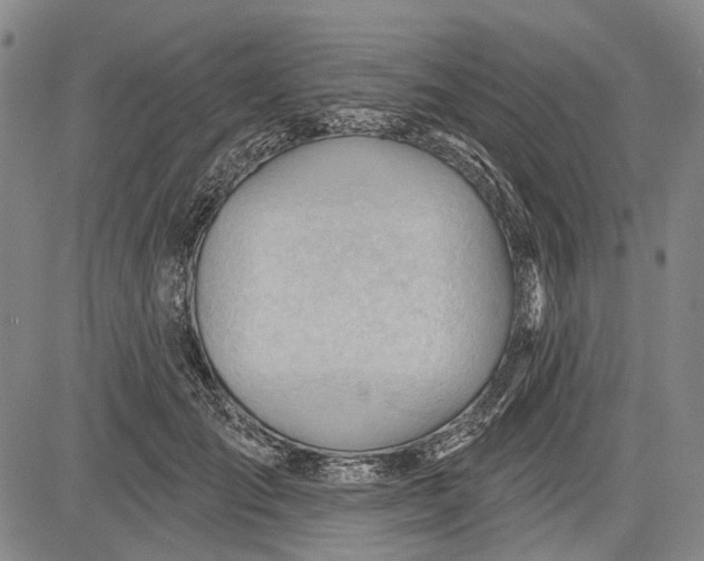 X0000083610701200703051543