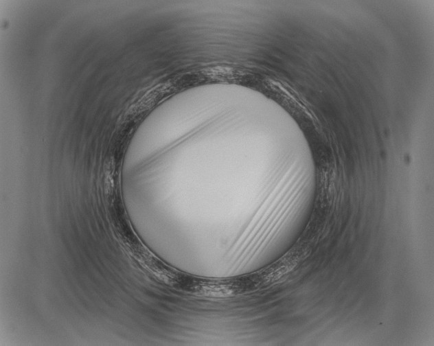 X0000083610702200703051543