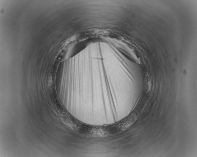 X0000083610704200703051543